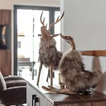 Tauernlodge Eben D4 * Eben Im Pongau