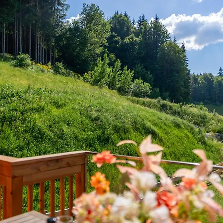 Tauernlodge Eben D4 *